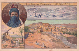 LES COLONIES FRANCAISES LE SAHARA - Sahara Occidentale