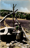 Algeria - Children At A Well - Kabylie - PC45 - Kinderen