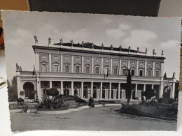 Cartolina Reggio Emilia ,teatro Municipale 1950 - Reggio Nell'Emilia