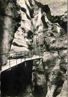 74 - Lovagny - Gorges Du Fier - Rochers Dantesques - Carte Neuve - CPM - Voir Scans Recto-Verso - Lovagny