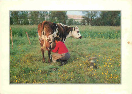 Animaux - Vaches - Heure De La Traite - CPM - Voir Scans Recto-Verso - Vaches