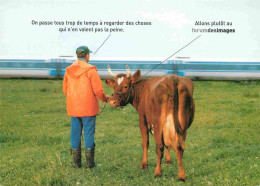 Animaux - Vaches - Paysans - CPM - Voir Scans Recto-Verso - Vaches