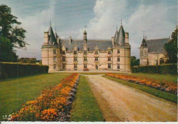 CHÂTEAU  DE  LA   ROCHE  -  GENÇAIS  (  86 )   C  P  M  ( 24 / 4 / 74  ) - Châteaux