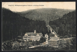 AK Nagold, Militärgenesungsheim Waldeck Und Kurhaus Waldlust  - Nagold