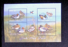 CL, Feuillets & Blocs, Block, Bloc, Eire, Fauna And Flora, 1996, Fresh Water Ducks, Canards, Neuf - Blocs-feuillets