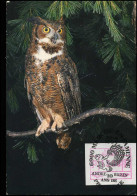 André Buzin, 10 Ans De Philatélie, Marche-en-Famenne - 1985-.. Oiseaux (Buzin)