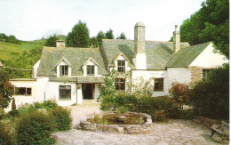 CHAMBERCOMBE MANOR, ILFRACOMBE, DEVON. Circa 1984 USED POSTCARD M6 - Ilfracombe