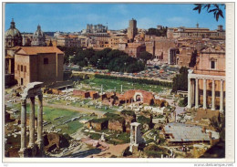 ROMA - Foro ROMANO, Forum Romain, Römischer Gerichtshof - Autres Monuments, édifices