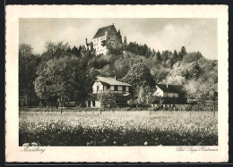 AK Mindelheim, Blick Auf Die Mindelburg  - Mindelheim