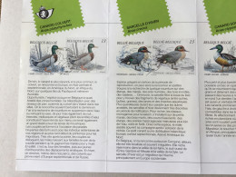 Belgique YT 2332-2335 Oblitération Premier Jour Sur Folder Présentation De La Poste Nature Canards - Gebraucht