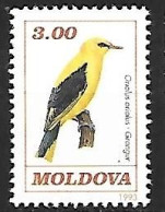 Moldova - MNH ** 1993 :    Eurasian Golden Oriole  -  Oriolus Oriolus - Songbirds & Tree Dwellers