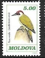 Moldova - MNH ** 1993 :   European Green Woodpecker  -  Picus Viridis - Pics & Grimpeurs