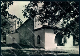 Arezzo Monteloro Pieve Di San Giovanni Battista Foto FG Cartolina JK0090 - Arezzo