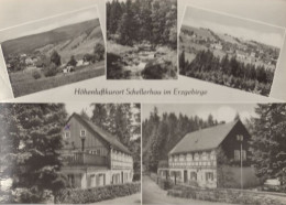 124558 - Schellerhau (OT Von Altenberg) - 5 Bilder - Schellerhau