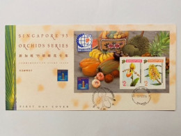 Singapore 1994 FDC International Stamp Exhibition HONG KONG '94 Orchids Orchid Fruits Plants Flora Flowers HK China - Singapore (1959-...)