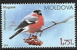 Moldova - MNH ** 2015 :    Eurasian Bullfinch  -  Pyrrhula Pyrrhula - Pájaros Cantores (Passeri)