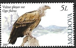 Moldova - MNH ** 2007  :   Griffon Vulture  -  Gyps Fulvus - Águilas & Aves De Presa