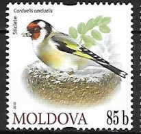 Moldova - MNH ** 2010  :      European Goldfinch -   Carduelis Carduelis - Sperlingsvögel & Singvögel