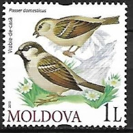 Moldova - MNH ** 2010  :        House Sparrow  -  Passer Domesticus - Uccelli Canterini Ed Arboricoli