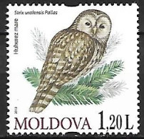 Moldova - MNH ** 2010  :      Ural Owl  -  Strix Uralensis - Eulenvögel