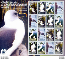 South Georgia. Fauna. Albatros 2003. - Falkland Islands