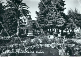 Bf612  Cartolina Polistena Giardini Pubblici Provincia Di Reggio Calabria - Reggio Calabria