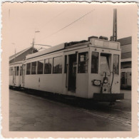 Tram - La Louvière Dépôt 1960 - Photo - & Tram - Treni