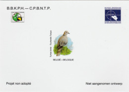 BUZIN.LA TOURTERELLE TURQUE   N.A.48 - 1985-.. Uccelli (Buzin)