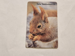 SWEDEN-(SE-TEL-030-0157)-Squirrel-(17)(Telefonkort 30)(tirage-100.000)(?)-used Card+1card Prepiad Free - Zweden