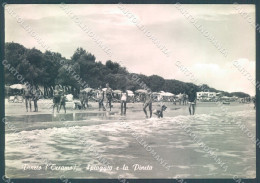 Teramo Pineto Spiaggia Pineta Foto FG Cartolina JK1803 - Teramo