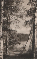 13511 - Arendsee Altmark - Schramper Eck - Ca. 1965 - Salzwedel