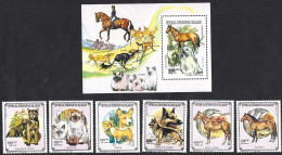Madagascar, Rep. Malagasy 1991: 2 CATS + 2 Dogs + 2 Horses + S/s With Horse, Dog,SIAMESE Cat; Complete Set. - Hauskatzen