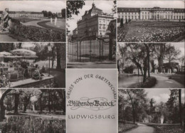 36947 - Ludwigsburg - Blühendes Barock - 1960 - Ludwigsburg