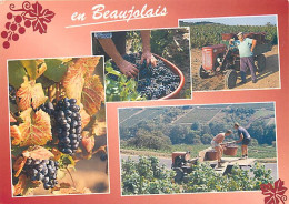 Vignes - Beaujolais - Multivues - Vendanges - Tracteur - Grappe De Raisins - CPM - Voir Scans Recto-Verso - Viñedos