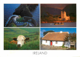 Irlande - Multivues - CPM - Voir Scans Recto-Verso - Autres & Non Classés