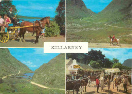 Irlande - Kerry - Killarney - Multivues - Attelage De Chevaux - CPM - Voir Scans Recto-Verso - Kerry