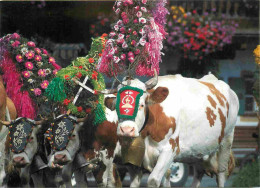 Animaux - Vaches - Autriche - Almabtrieb In Den Bergen - CPM - Voir Scans Recto-Verso - Vaches