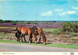 Animaux - Chevaux - Royaume-Uni - New Forest Ponies - Poneys - CPM - UK - Voir Scans Recto-Verso - Pferde