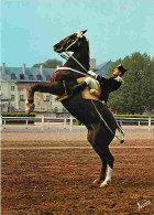 Animaux - Chevaux - Saumur - Le Cadre Noir - Courbette - Carte Neuve - CPM - Voir Scans Recto-Verso - Pferde