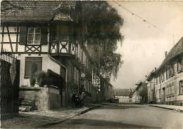 67* BISCHWILLER Rue Du Chateau CPSM (10x15cm)                  MA73-0191 - Fourmies