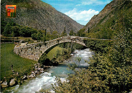 ANDORE  San Julia De Lorie - Pont CPM (10x15cm)                  MA73-0113 - Andorre