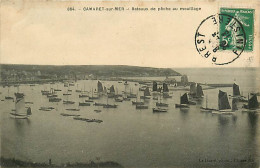 29* CAMARET SUR MER  Bateaux     MA77-1124 - Camaret-sur-Mer