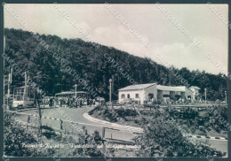 Potenza Rifreddo Villaggio Turistico Foto FG Cartolina JK1711 - Potenza