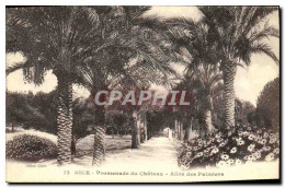 CPA Nice Promenade Du Chateau Allee Des Palmiers - Parcs Et Jardins