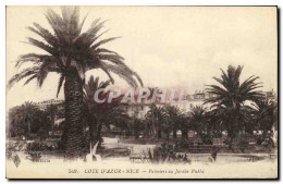 CPA Cote D Azur Nice Palmiers Au Jardin Public - Parcs Et Jardins