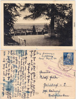 Kamenz Kamjenc Hutberg-Anlagen Ansichtskarte Oberlauistz 1940 - Kamenz