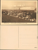 Ansichtskarte Rochlitz Stadt Vom Weinberg Aus 1922  - Rochlitz