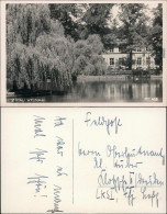 Ansichtskarte Zittau Weinaupark 1930 - Zittau