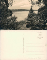 Ansichtskarte Neuglobsow-Stechlin Dagowsee / Stechlinsee 1961 - Neuglobsow