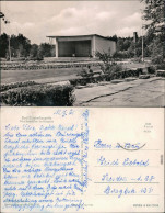 Ansichtskarte Bad Klosterlausnitz Musikpavillon Im Kurpark 1961 - Bad Klosterlausnitz